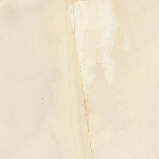 Bone Ripped Parchment