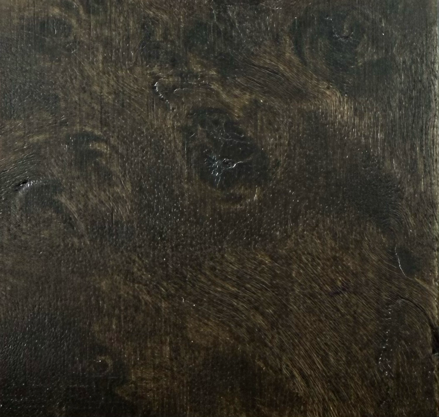 Mappa Burl - Mocha