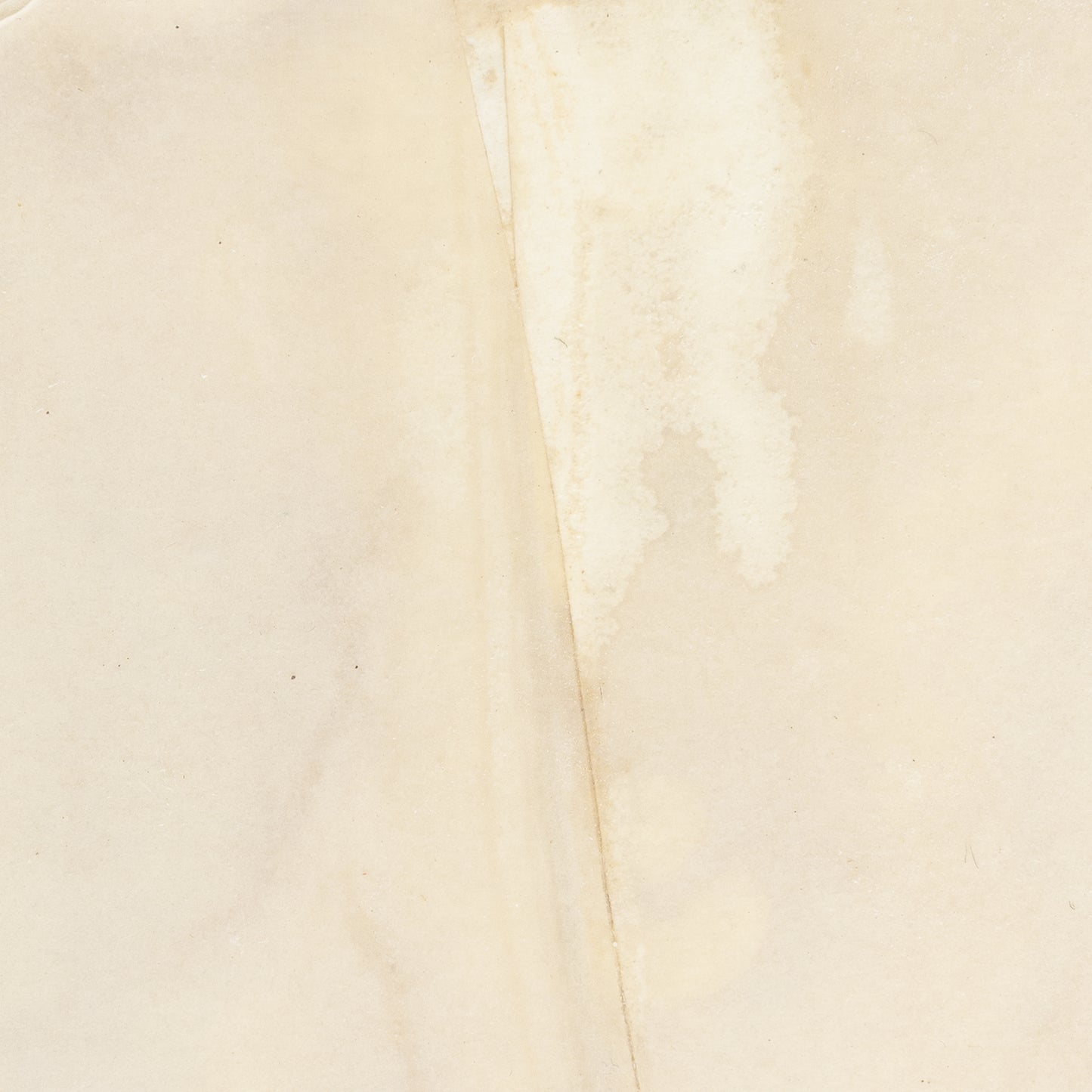 Bone Ripped Parchment