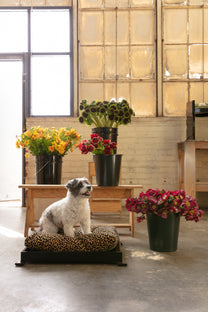 Fold Pet Bed